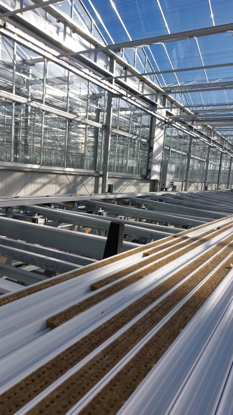 Greenhouse automation project