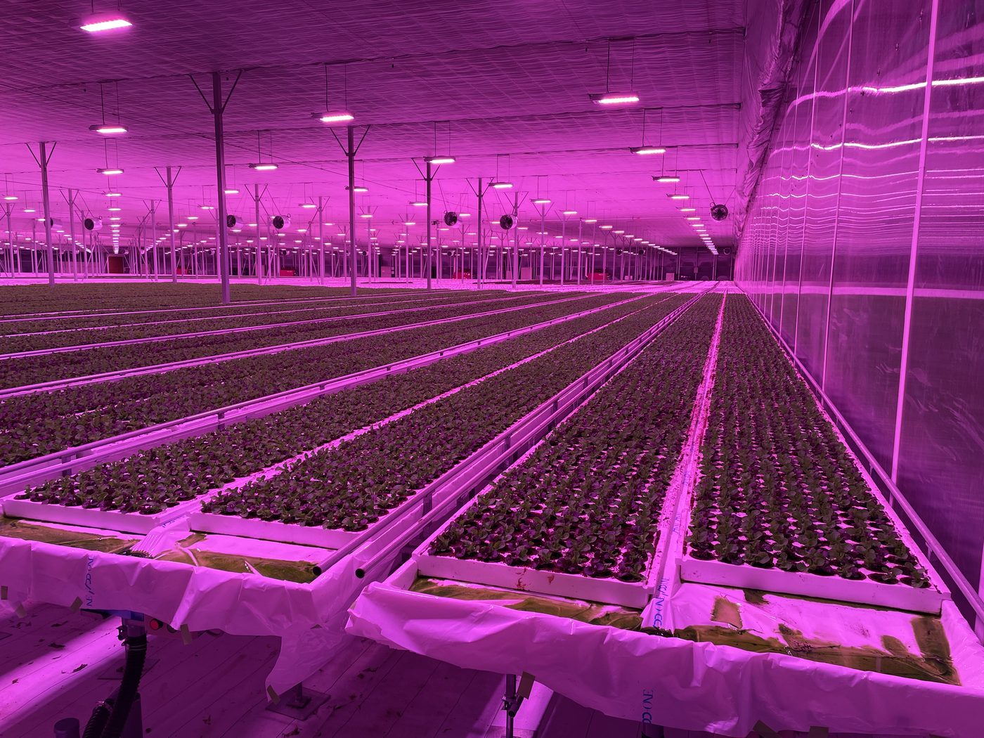 Greenhouse automation project